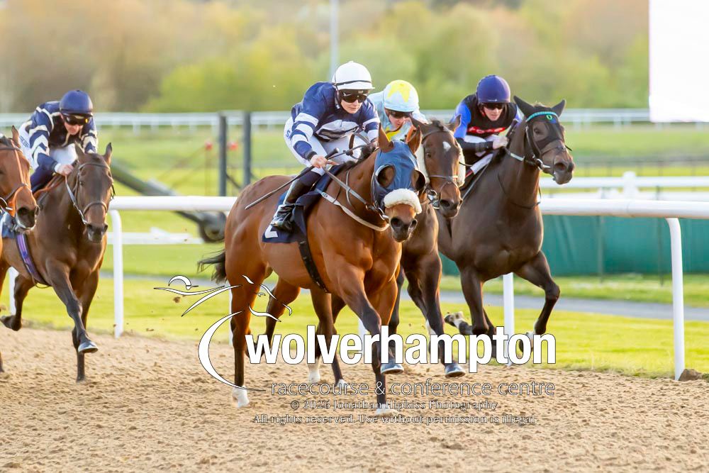 Wolverhampton Races tweet media