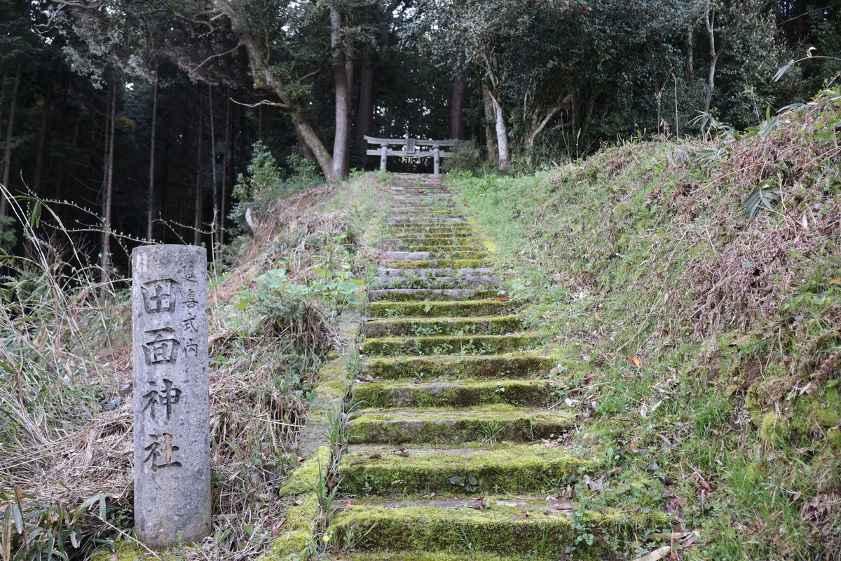 狭野の人 tweet media