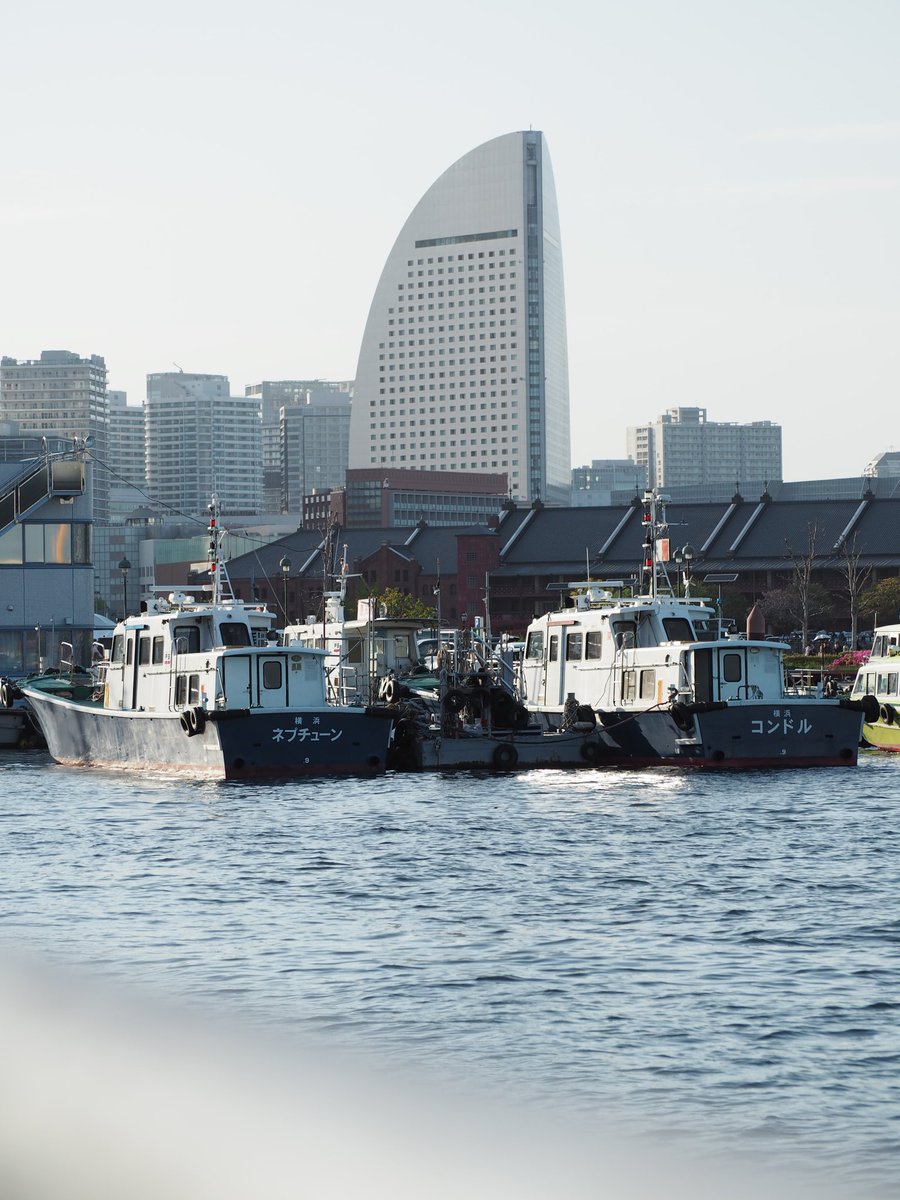 あきこ tweet media