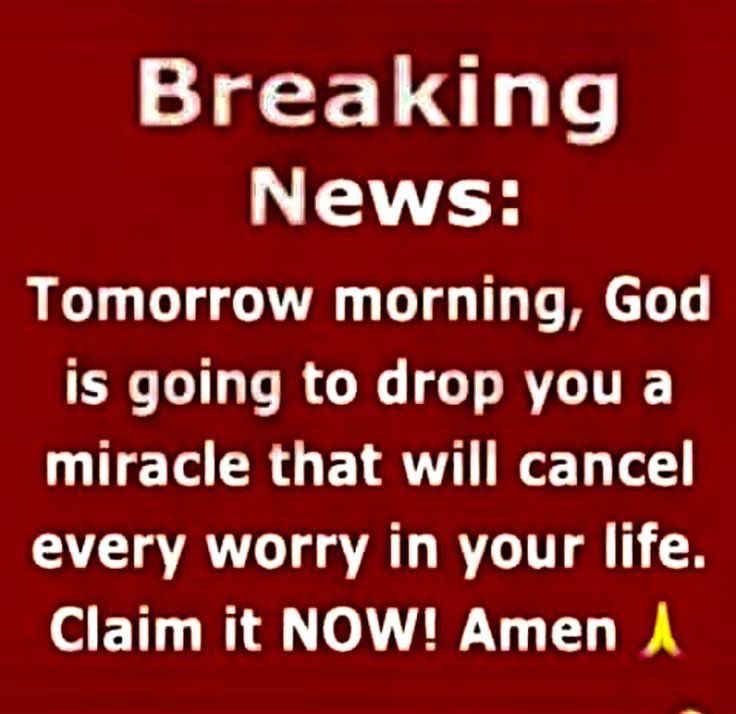 ProgressCode🌺 tweet media