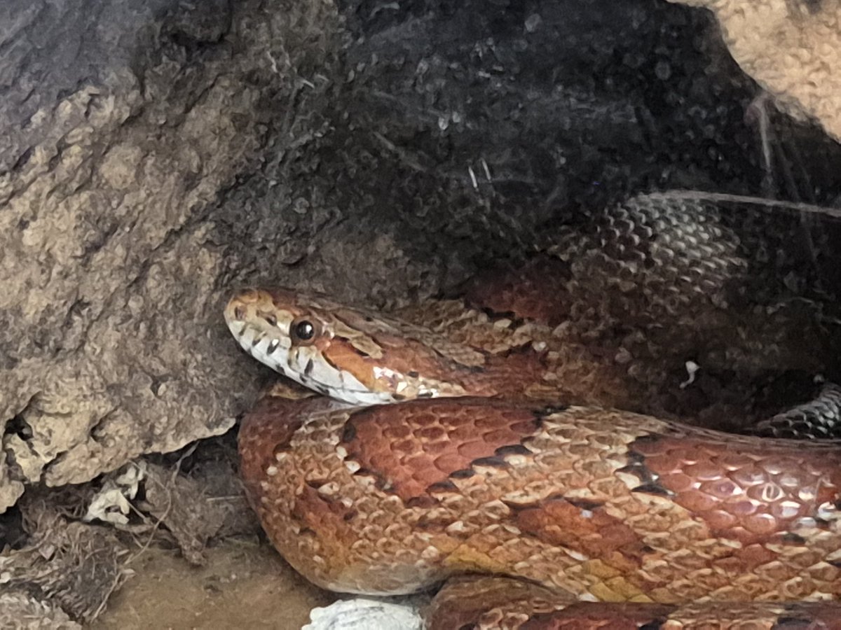 gadalem do siebie a on patrzył. 🤨