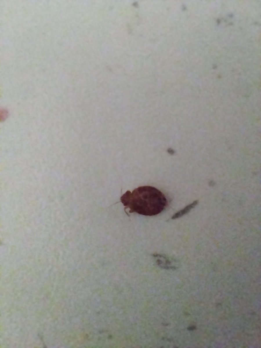 Vít Skála tweet media