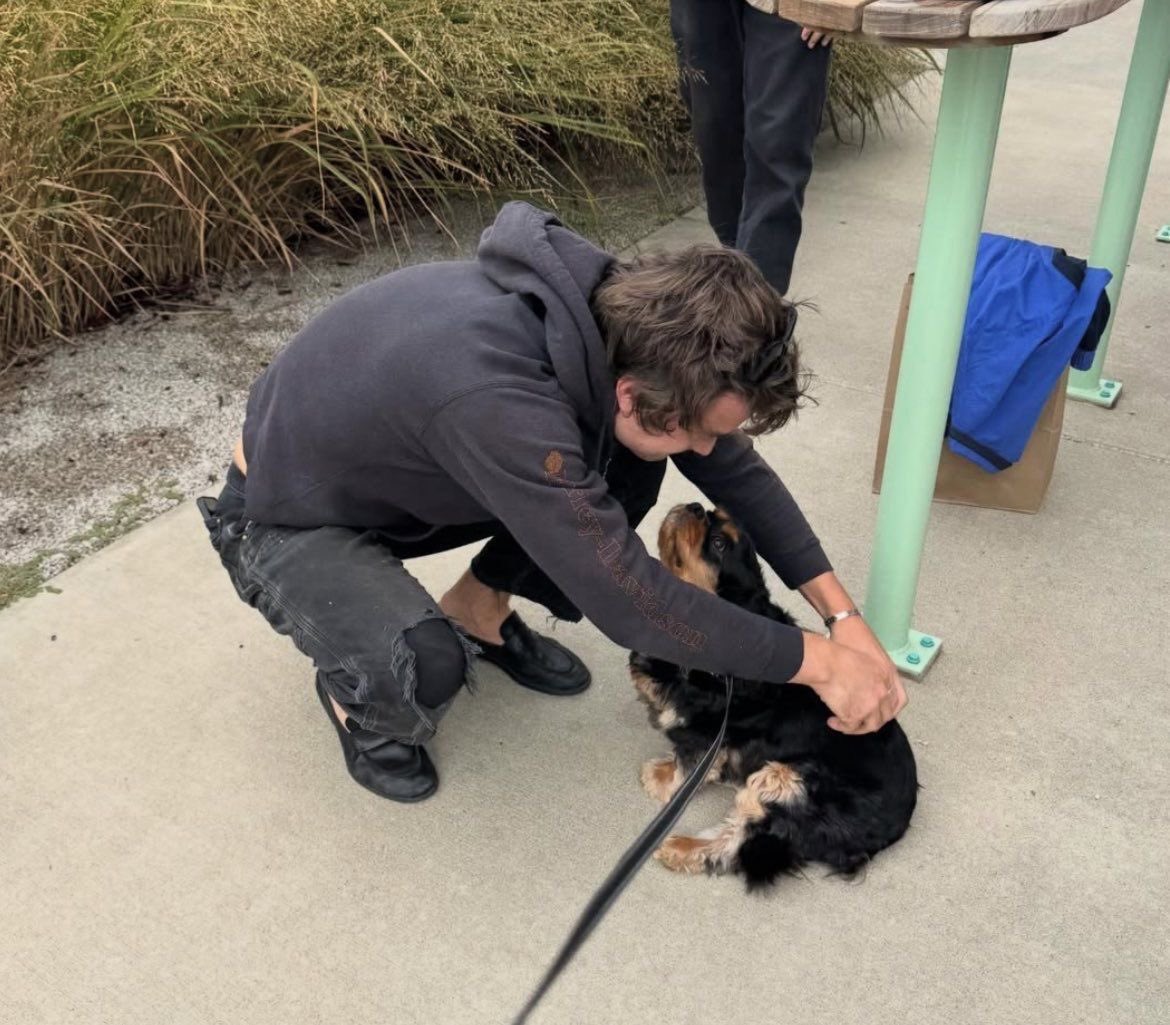 Eds 🦇🎸 tweet media