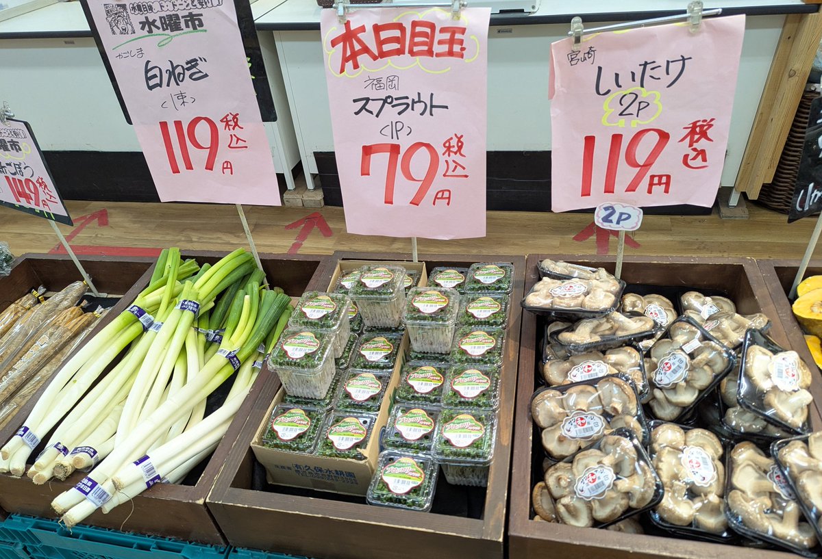 背脂ぎょうざ子🥟 tweet media