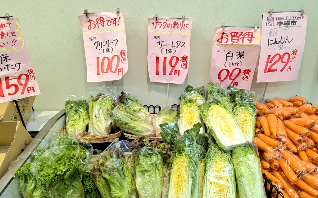 背脂ぎょうざ子🥟 tweet media