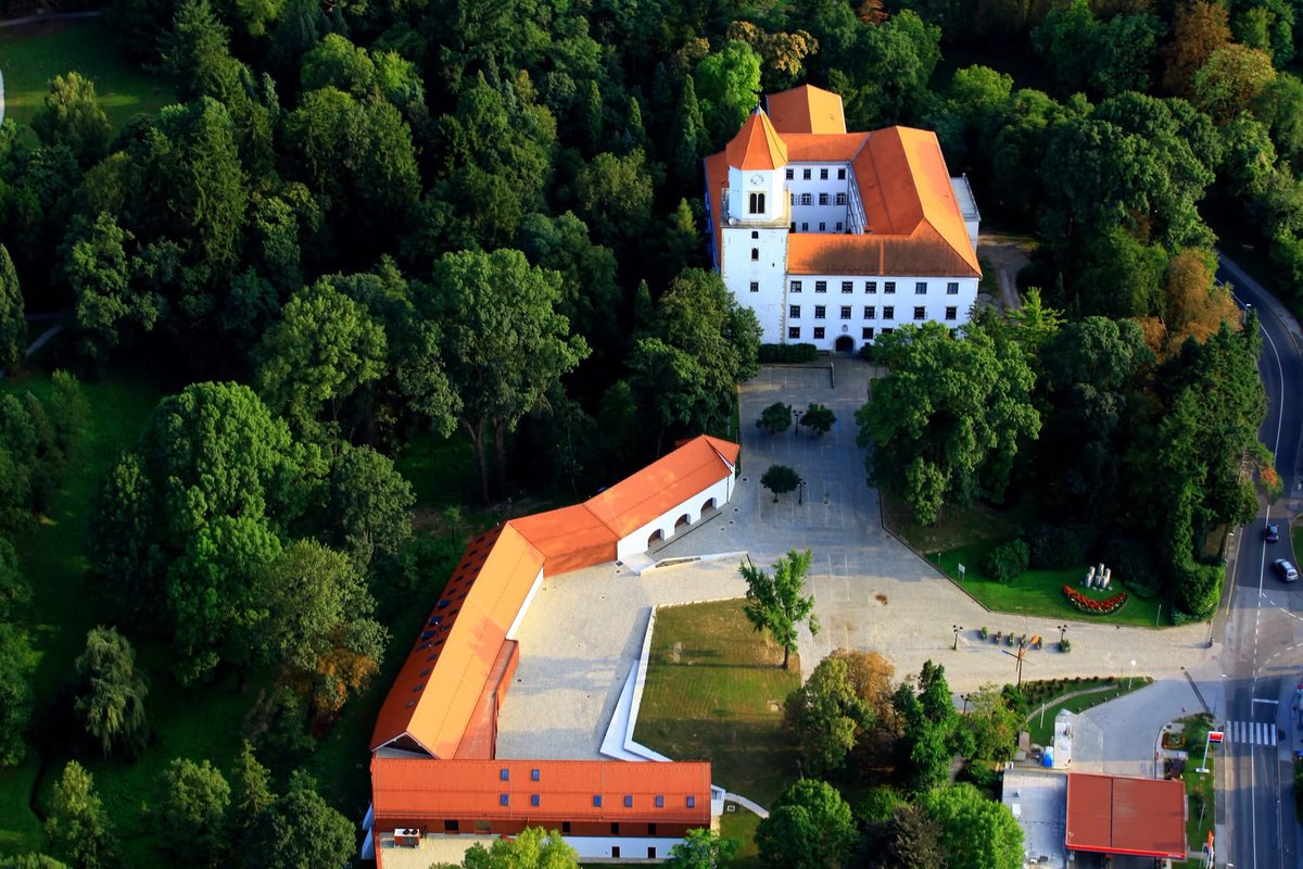 Slovenske železnice | Grem z vlakom tweet media