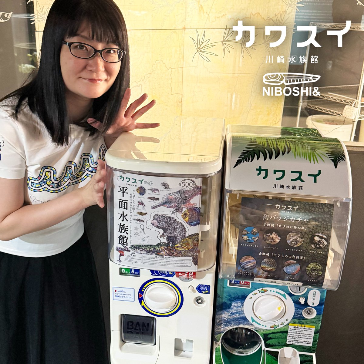 petitpoissonami's tweet photo. カワスイこと川崎水族館様にて、コラボガチャ「平面水族館」が4月24日よりスタートします！

カワスイさんにはちょっと珍しい魅力的な淡水魚たちもたくさん！
淡水のシーラカンスとも評される『タライロン』は必見です！

さらにGWには「オマキヤマアラシ Monthly Fes」も開催！

ぜひ遊びにきてね！ https://t.co/XfRUQZ5N3Y