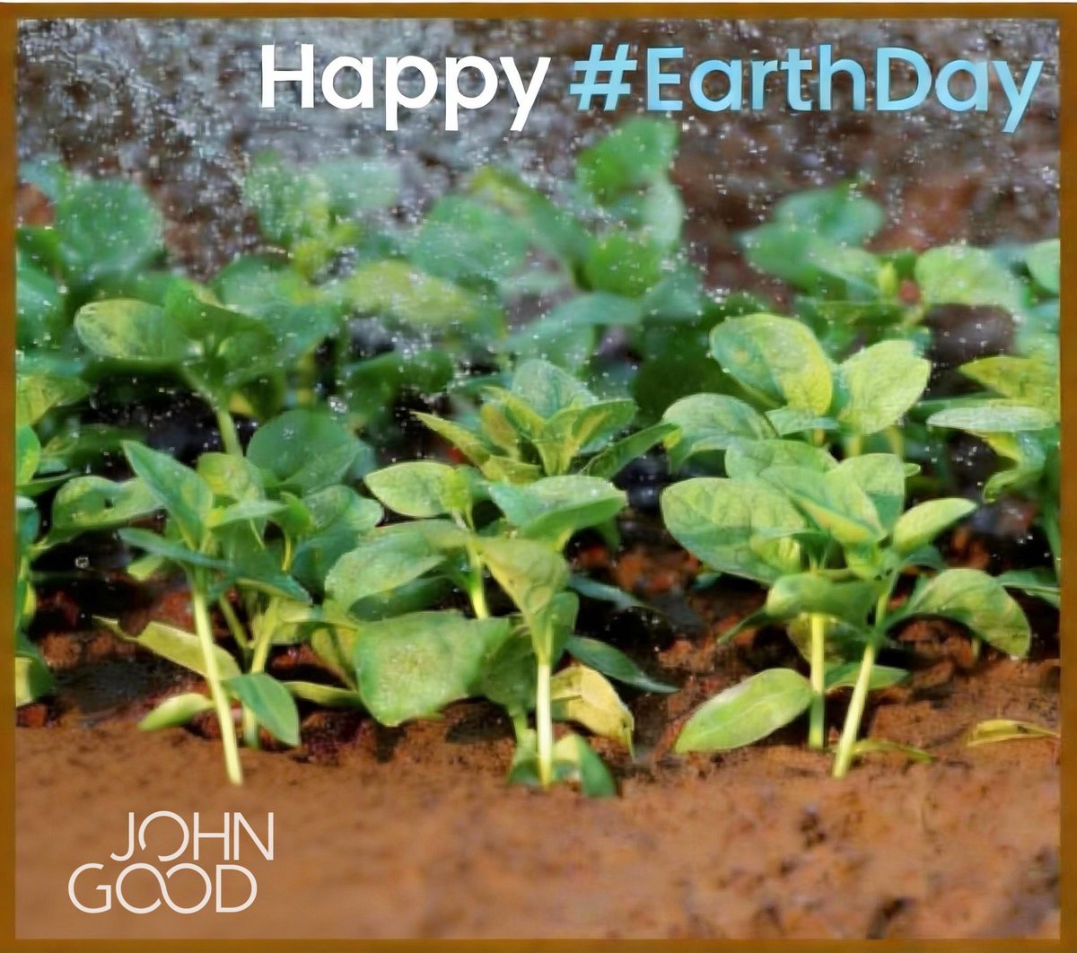 JohnGoodLtd's tweet image. 😀 Happy EarthDay.org 2026

#DYK, our premises are fitted with LED💡, energy-renewing solar panels ☀️ &amp;amp; an EV ⚡️🚙 charging station? Staff breaks &amp;amp;
informal meetings often take place in our courtyard garden. 🐦🌳🌼🌲🐿️

#JGcares ✅ #EarthDay2026 💚#OurPowerOurPlanet 🌐