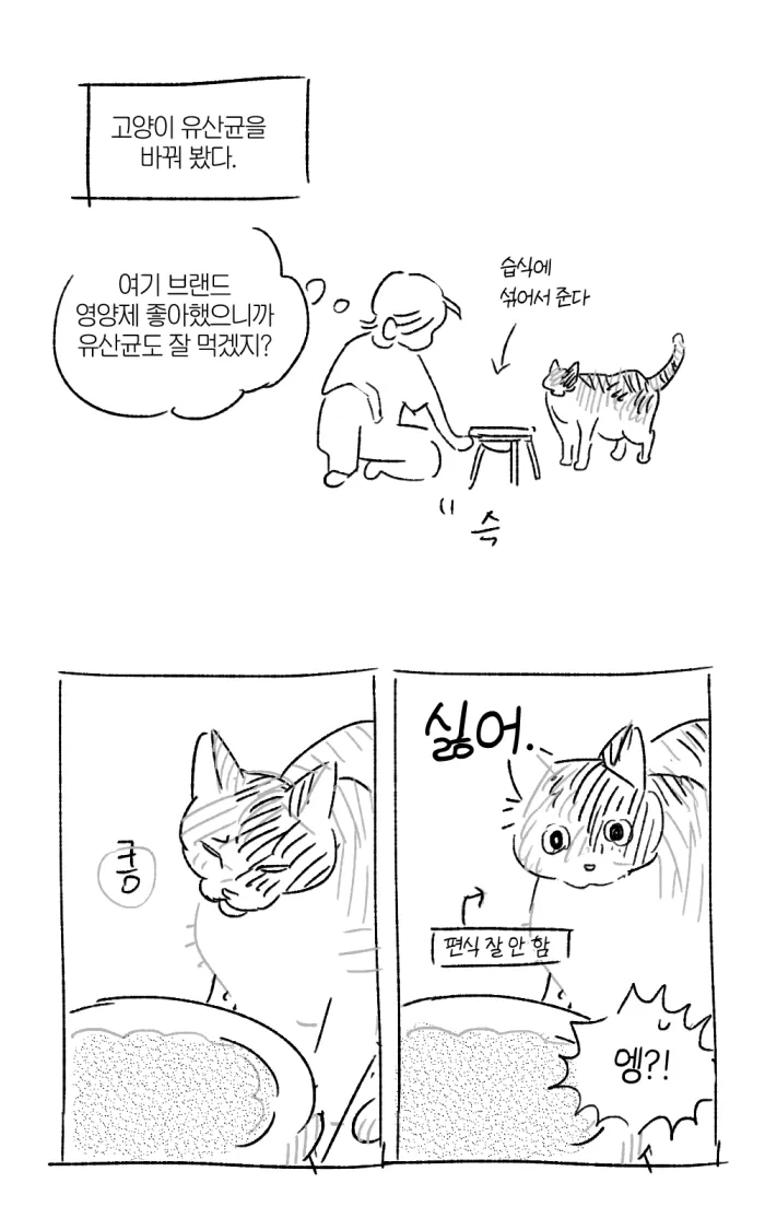 🥞지갈🥞 tweet media