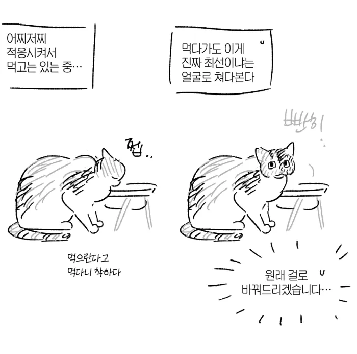 🥞지갈🥞 tweet media