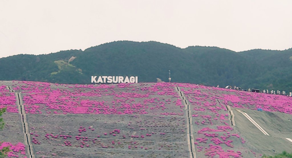 わじょーすきー tweet media