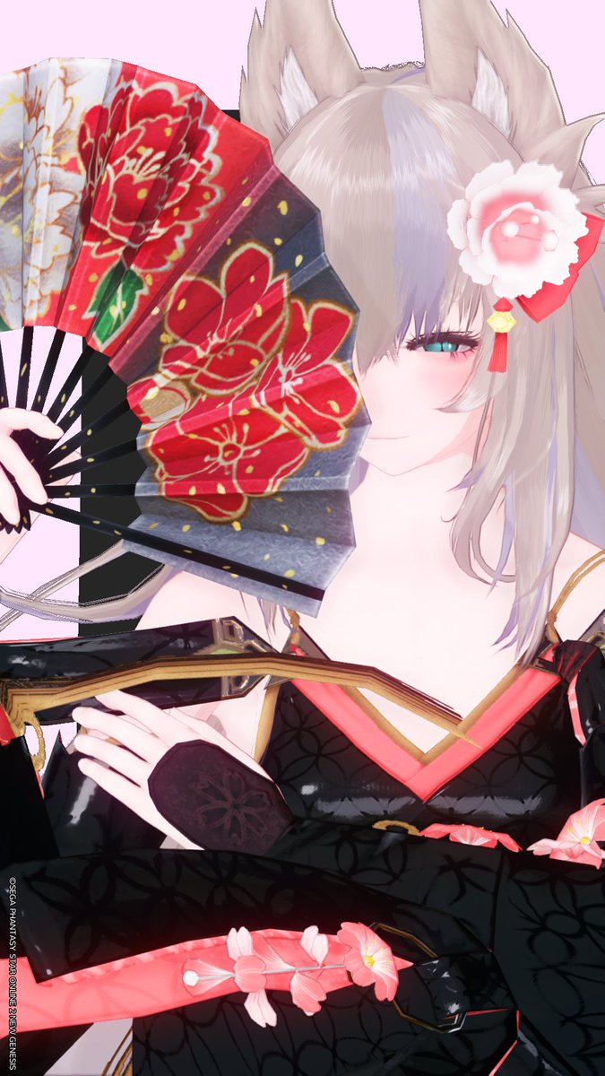 パリス(ง'ω')و tweet media