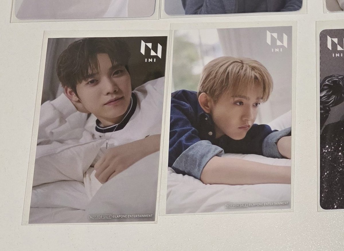 アオ🕊️💍 tweet media