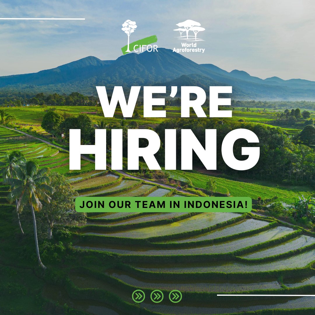 CIFOR_ICRAF_ID's tweet image. Yuk jadi bagian CIFOR-ICRAF Indonesia!

Daftarkan dirimu untuk posisi
• Asisten Akuntan
• Koordinator Program
• Team Support Assistant

Deadline: 30 April 2026.
Daftar di sini: 🔗 bit.ly/3U5DDZS

#LowonganKerjaIndonesia #LowonganKerja #TreesPeoplePlanet