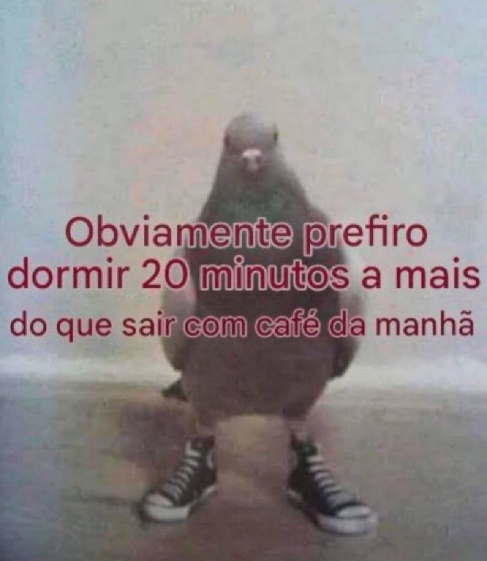 Trouxinha (@euovitinn) on Twitter photo 