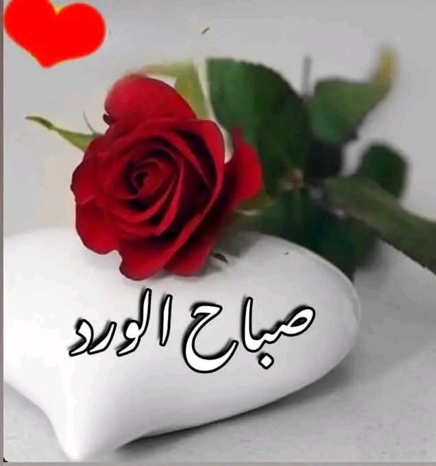 ملُگةّ آلأحلام 🇾🇪🇪🇬💫🫅 tweet media