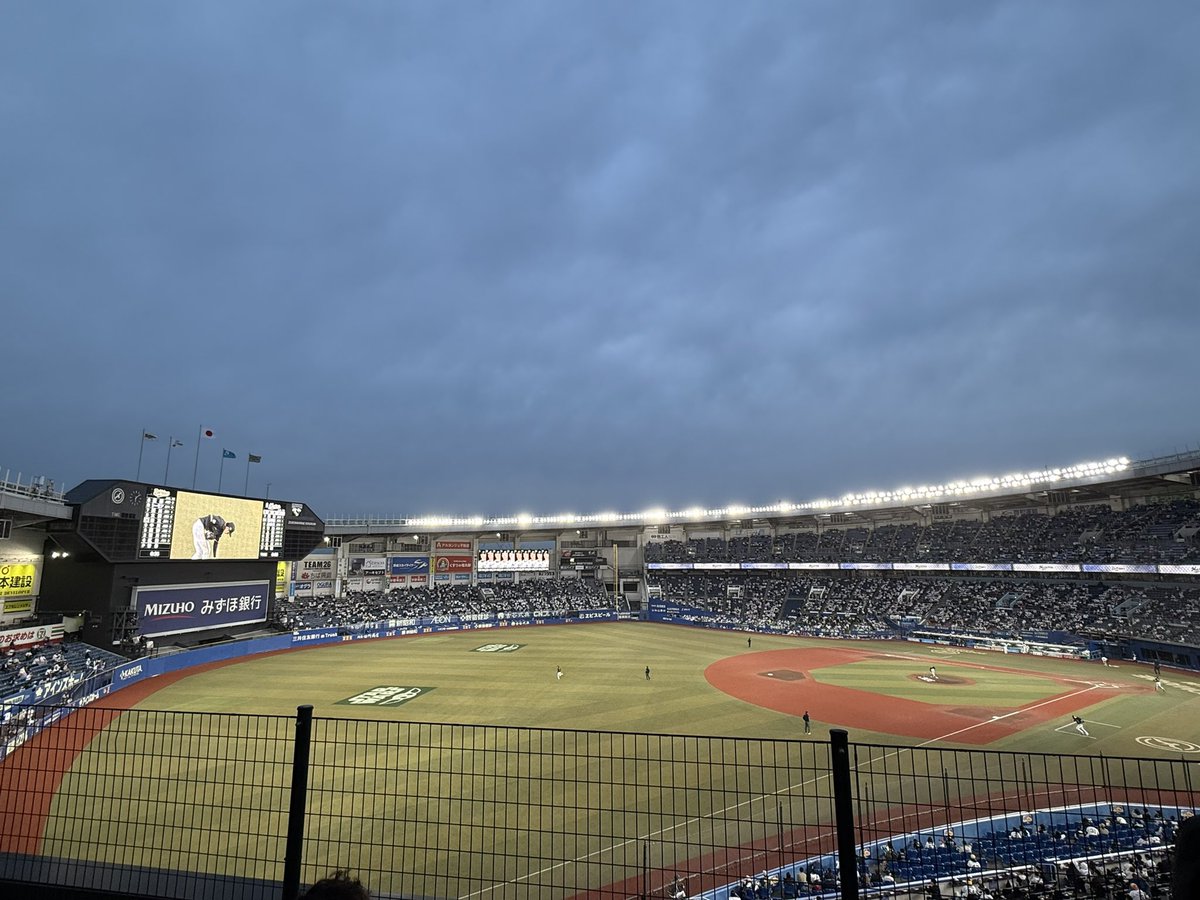 ハト（ハトン） tweet media