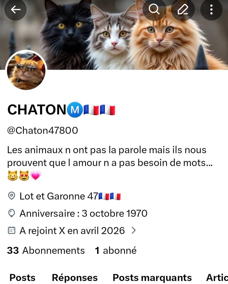 CHATONⓂ️🇨🇵🇨🇵 tweet media
