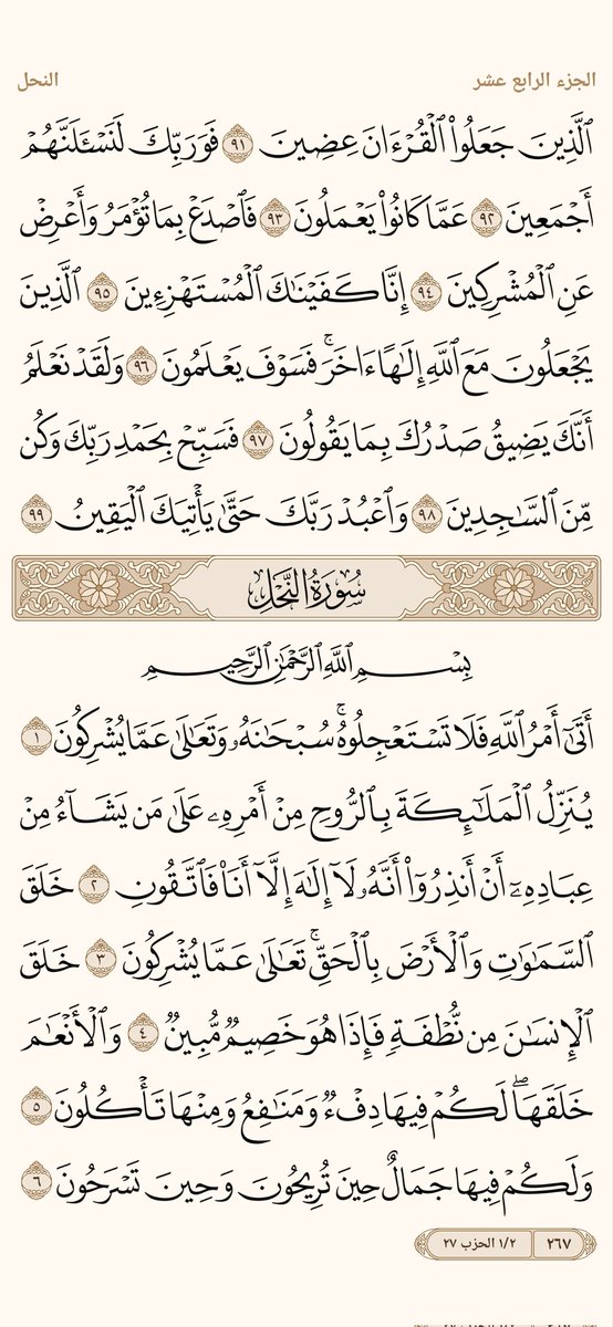 الورد اليومي tweet media
