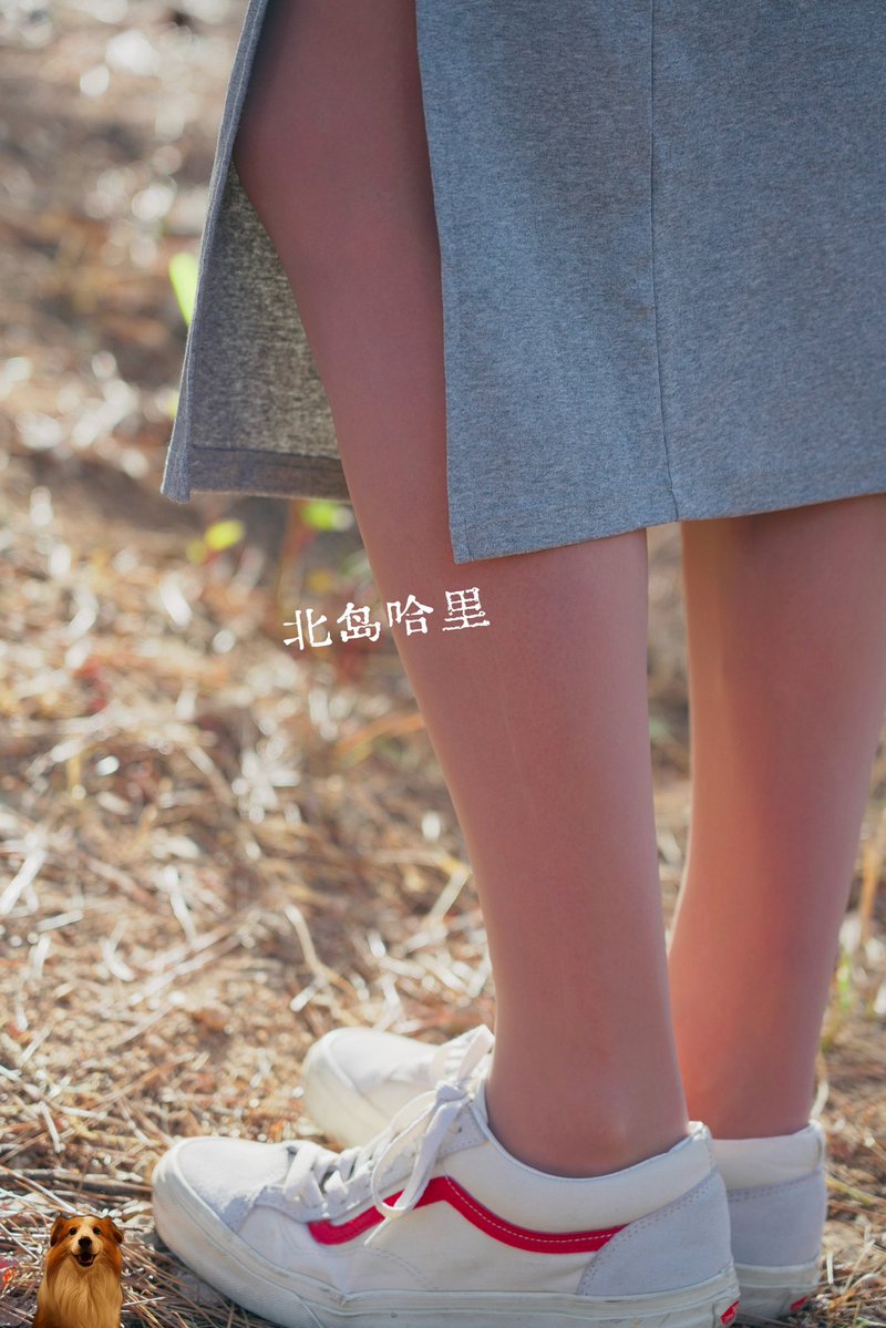 北岛哈里 tweet media