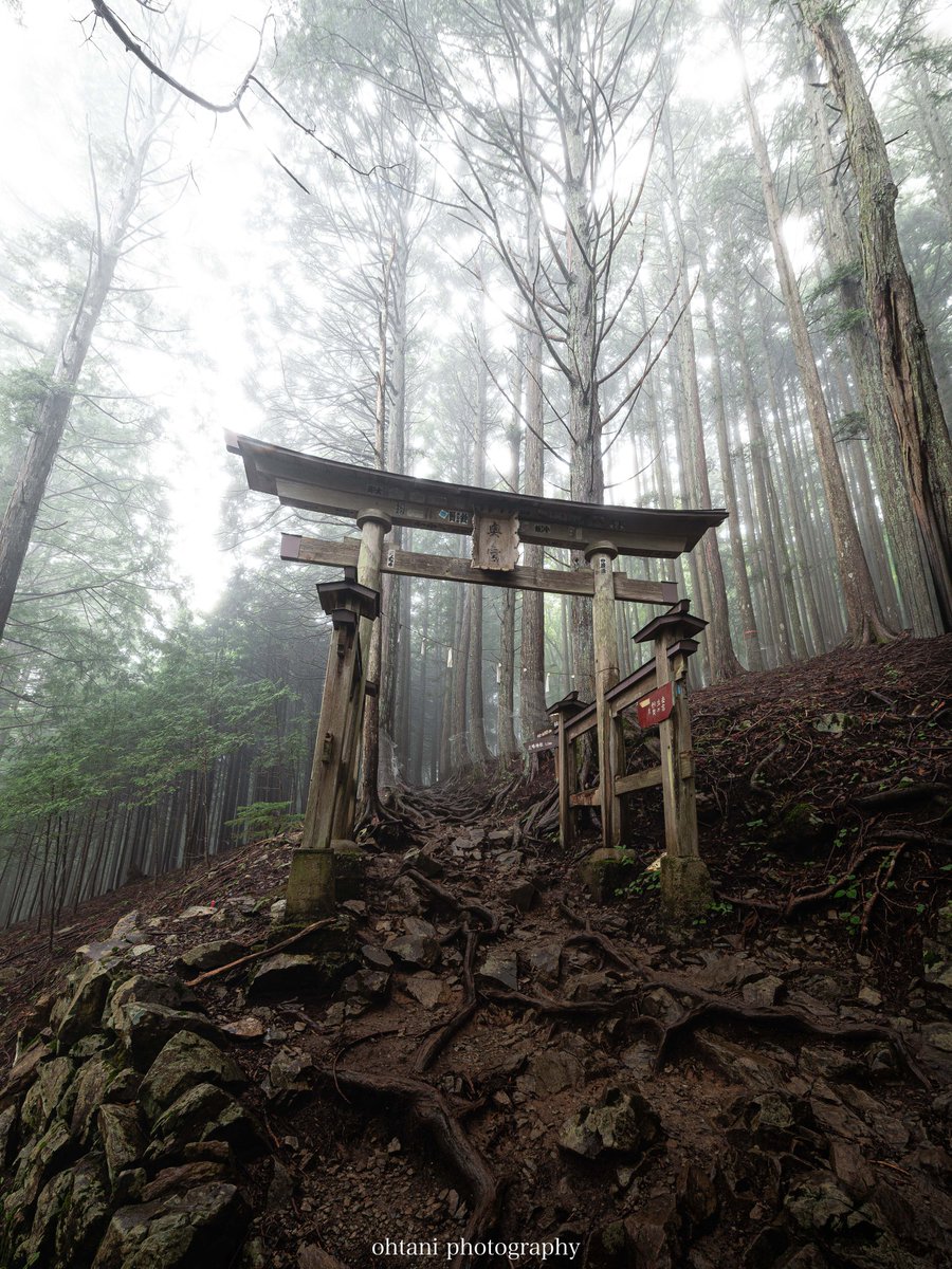 おおたに。┃日本の歴史を彩る風景写真 tweet media