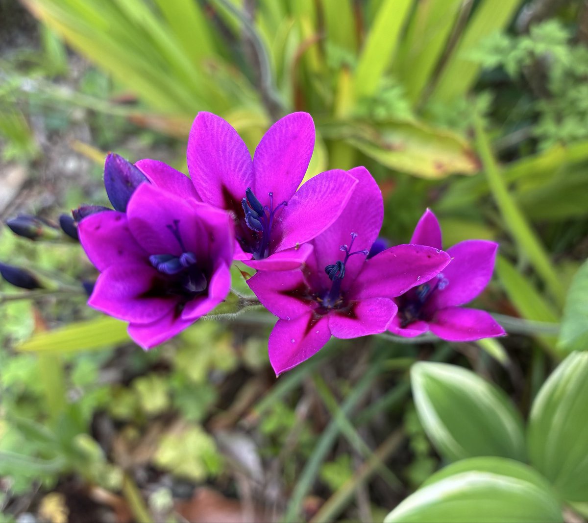 じゅんちゃん tweet media