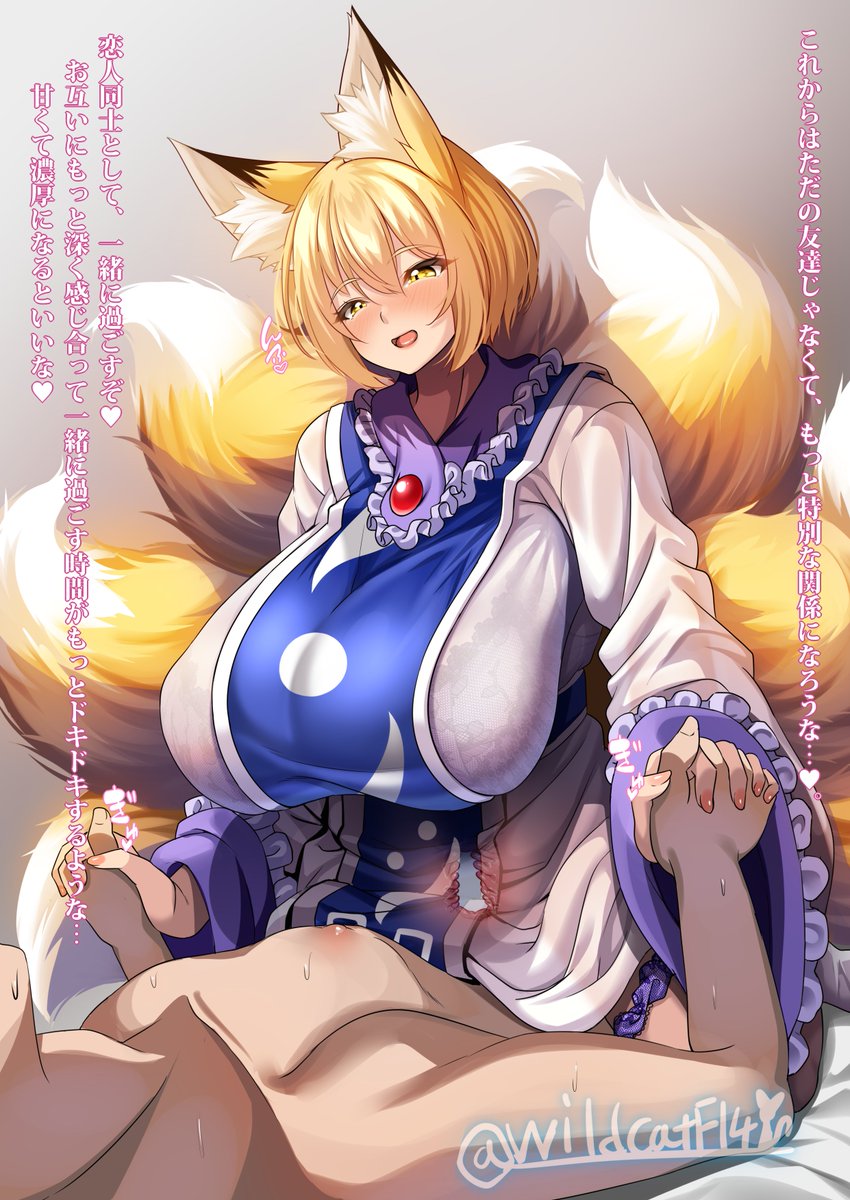 わいるどきゃっと🐈 tweet media