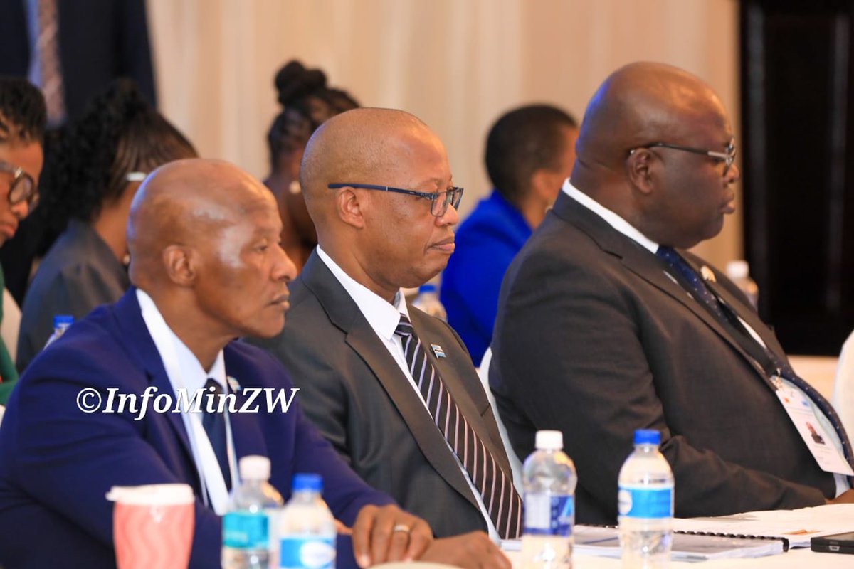 EDevelopZim tweet media