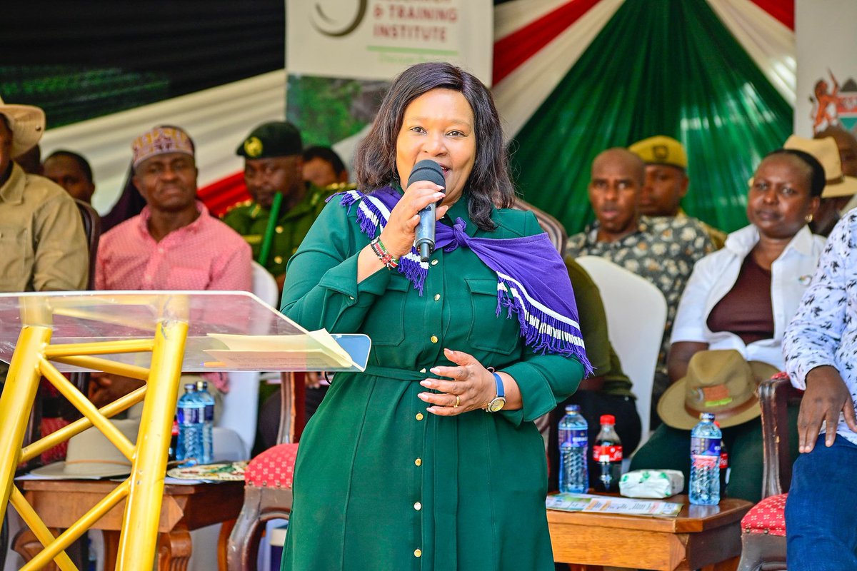 Piller 🪾 tweet media