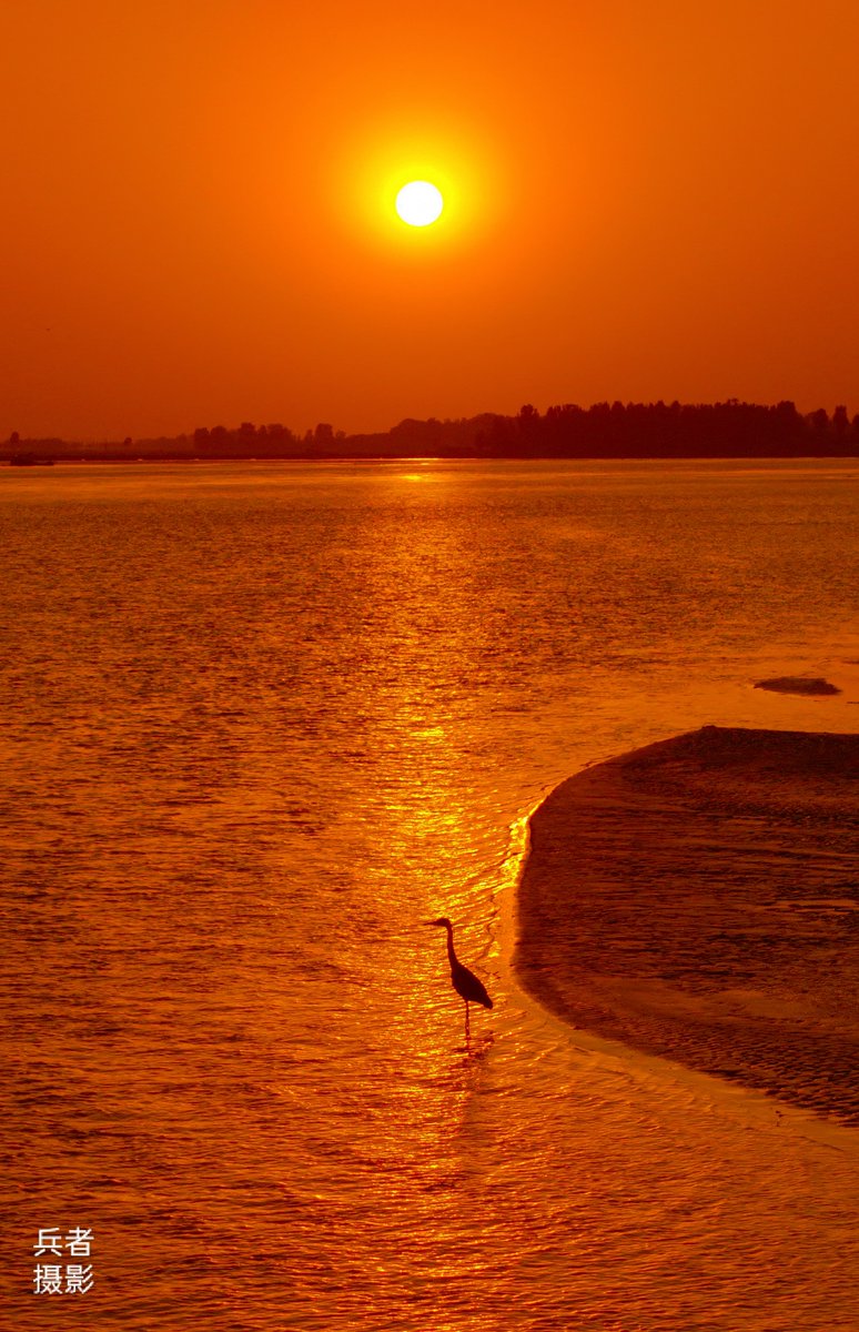 Tushar Infotech tweet media