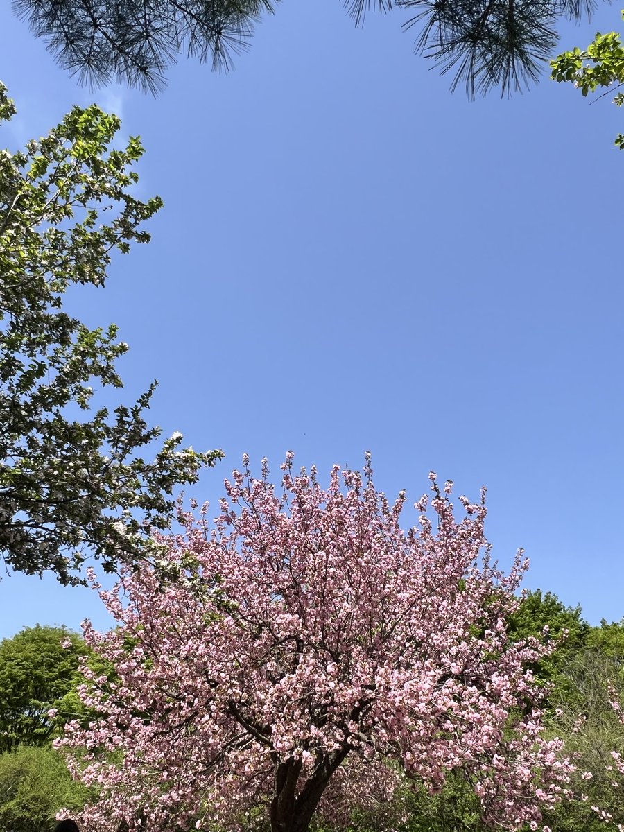 여기어때 tweet media