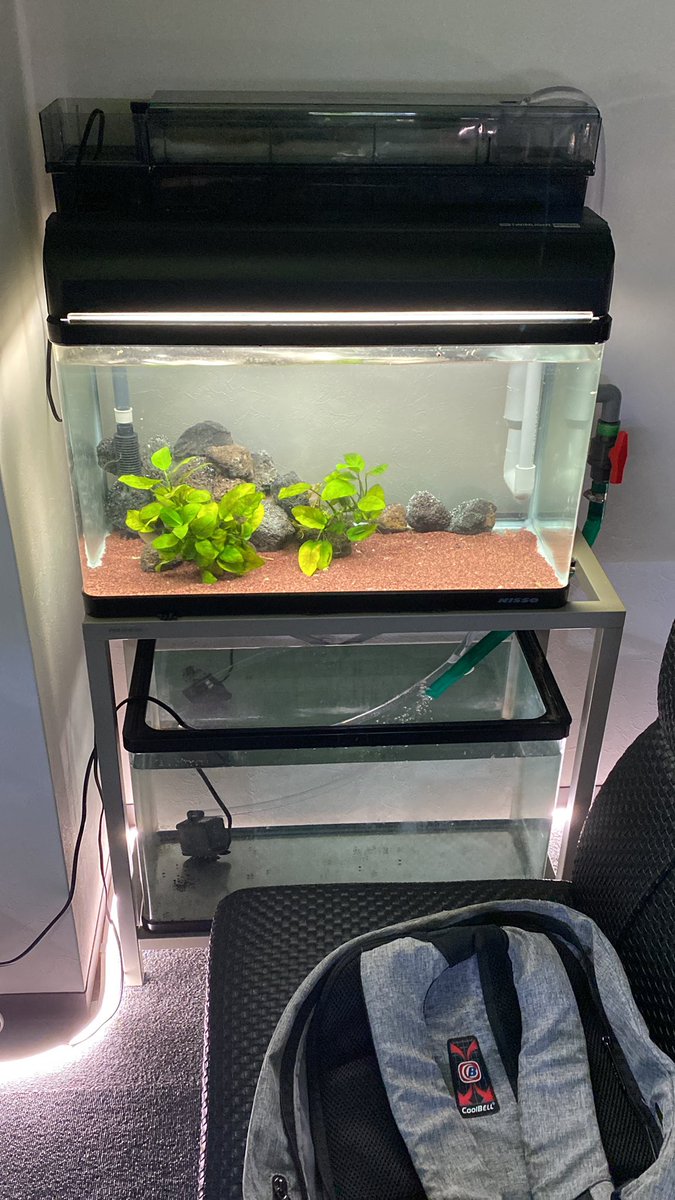ようやく完成した…
上下循環型のいわゆるオーバーフロー水槽。
下にヒーターや濾過のための投げ込みできる水草入れたら上で肉食魚飼う予定です。
ちょっとうるさいかもしれない