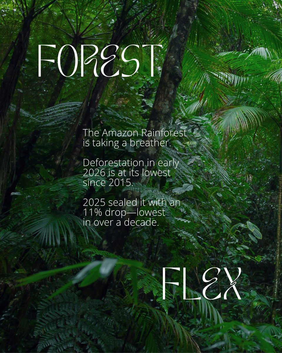 WWF's tweet image. There’s nothing like a great comeback story. And this #EarthDay, we're sharing some of our favourites.💚

From forests to oceans, nature bounces back when we give it the chance to. It's been doing it long before us. And with a little help, it'll keep going long after.