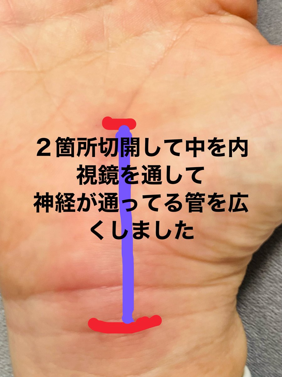 たかっちゃん tweet media