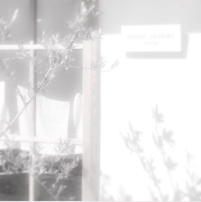 cu4452363831365's tweet photo. 皆様へ🍃 https://t.co/ZVborxhHyU