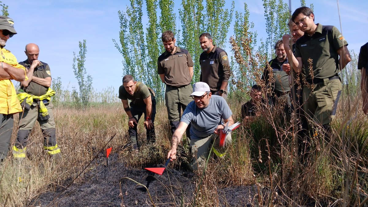 IIFFAragon's tweet photo. El #fuego deja tras de sí un rastro de huellas 🔥🔍 cuya interpretación permite reconstruir la dinámica del #incendio forestal, localizar su origen y determinar sus causas. Este análisis, clave, lo han trabajado APNs en formación del @IAAP_Aragon 🌿 https://t.co/f5tMpHQl2n
