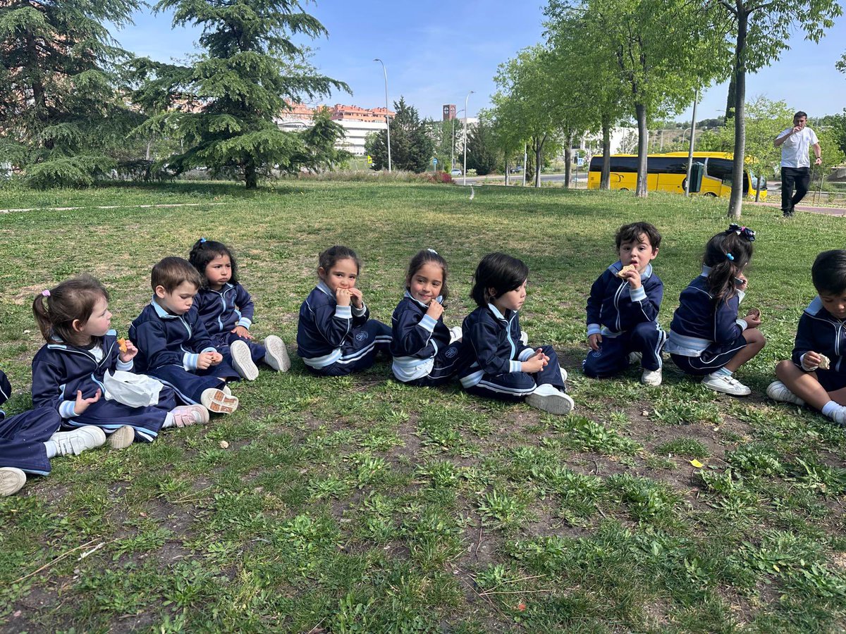 La Inmaculada tweet media