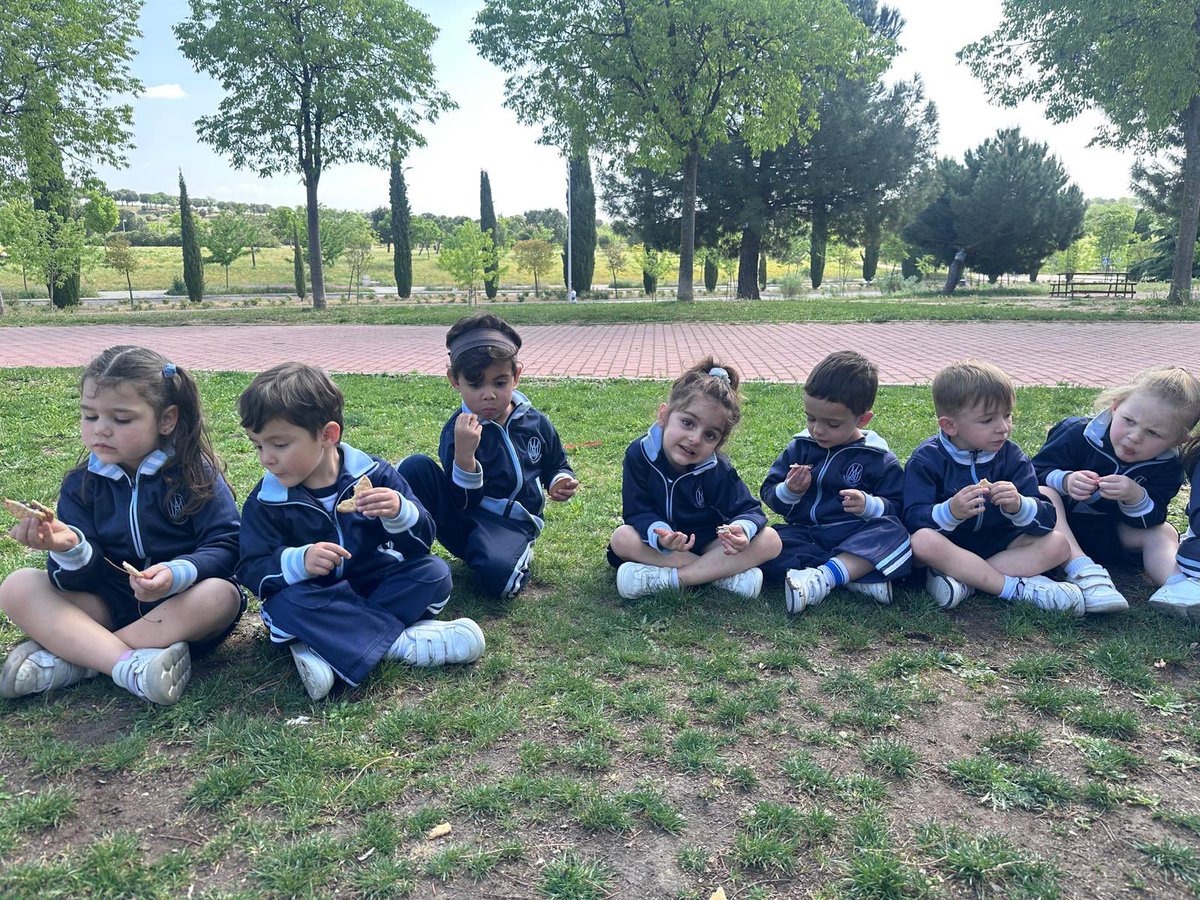 La Inmaculada tweet media