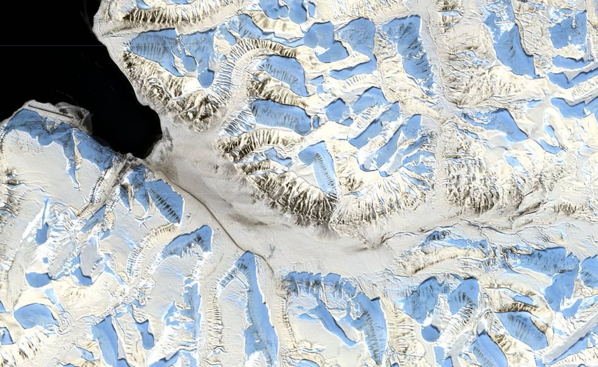 Meteorologene API tweet media