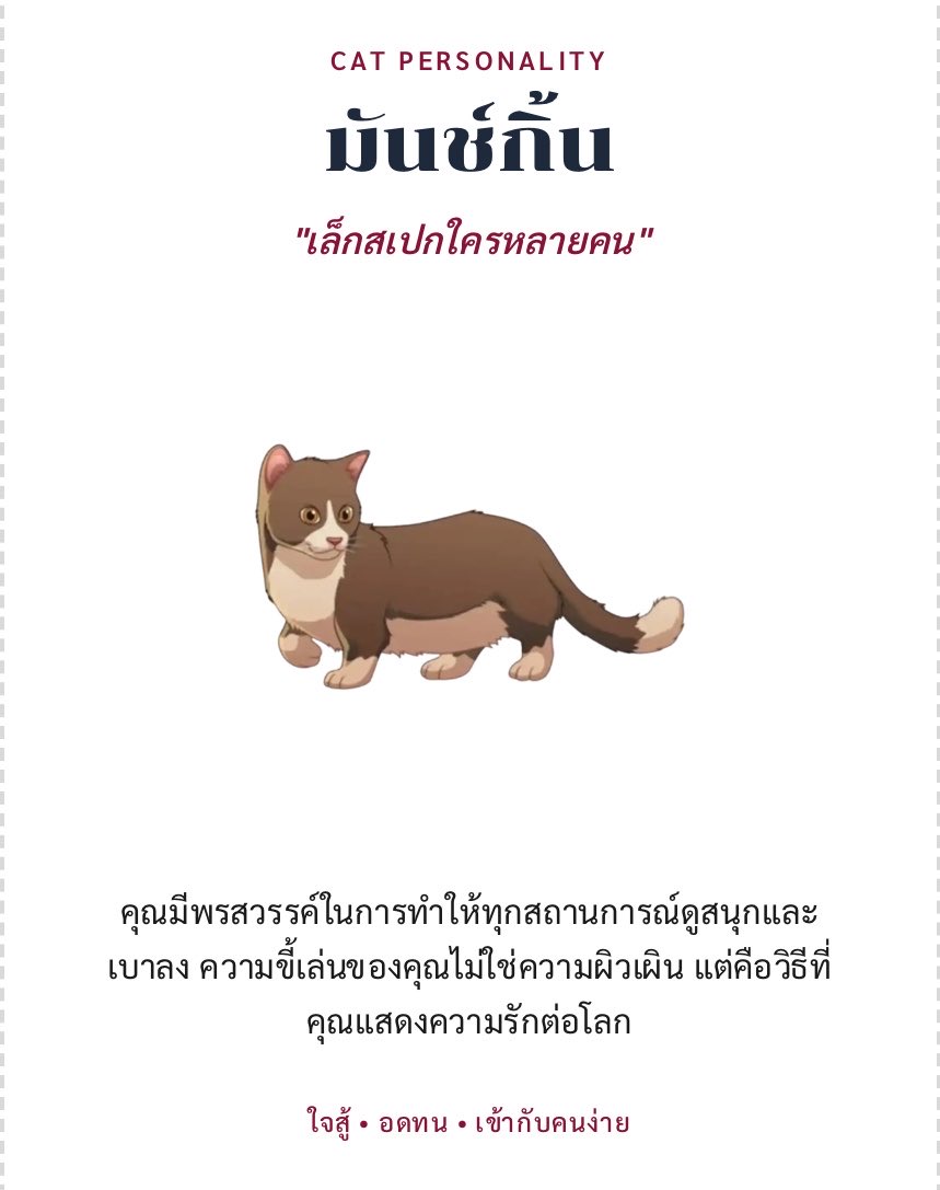 Cher🥟♡︎ tweet media