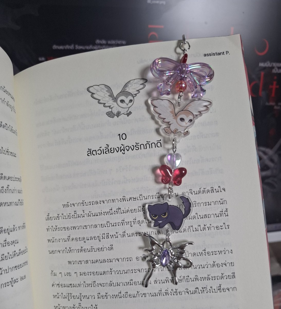 assistant P. 🐟 tweet media