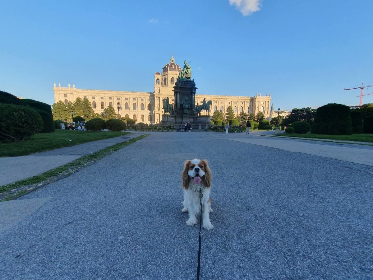 RJonTourUK's tweet image. Vienna is a fantastic city to visit as there’s lots to experience.  Find out what we enjoyed over multiple visits, next visit is for a big concert. 

rjontour.com/places-to-visi… #Vienna #Austria #travel