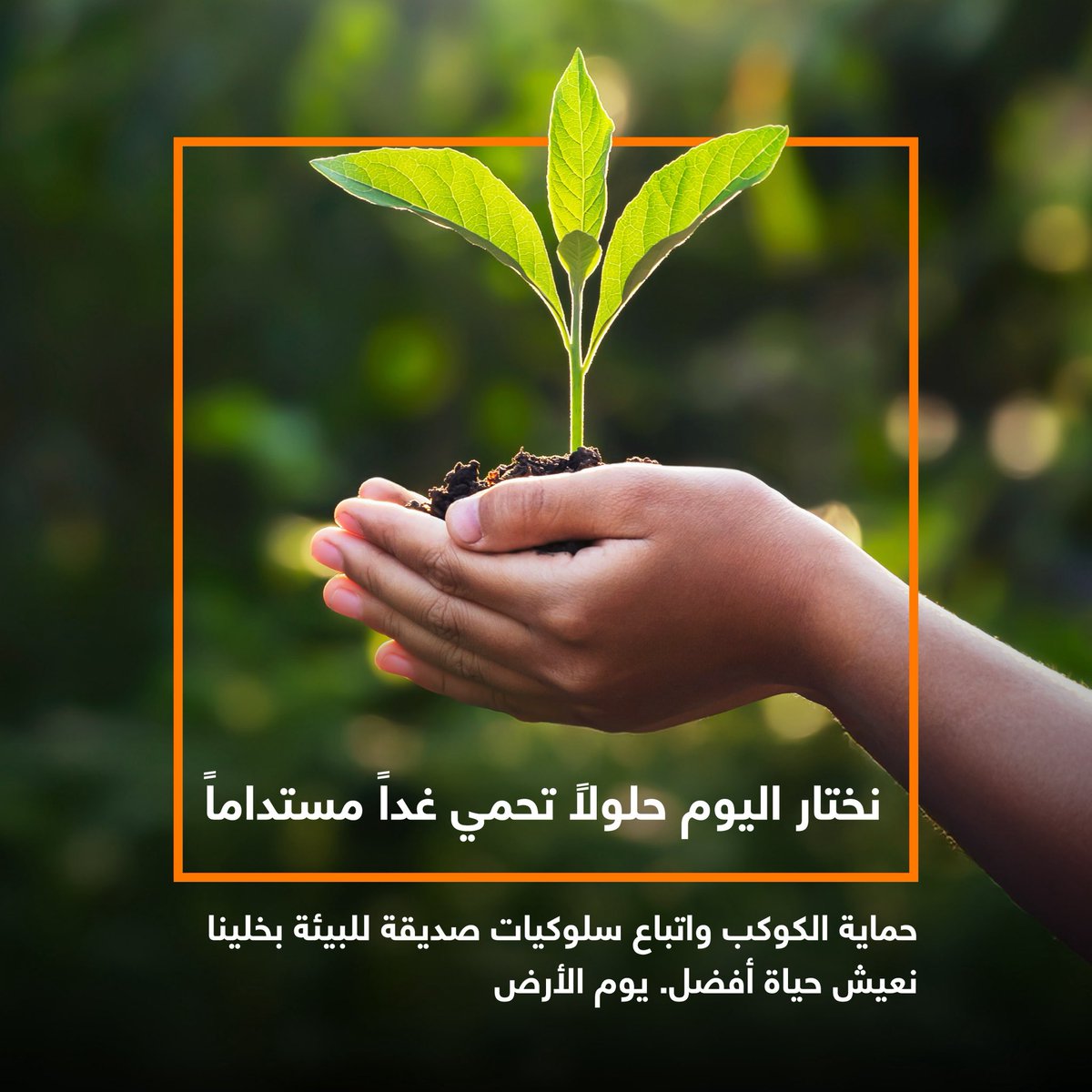 Orange Jordan tweet media