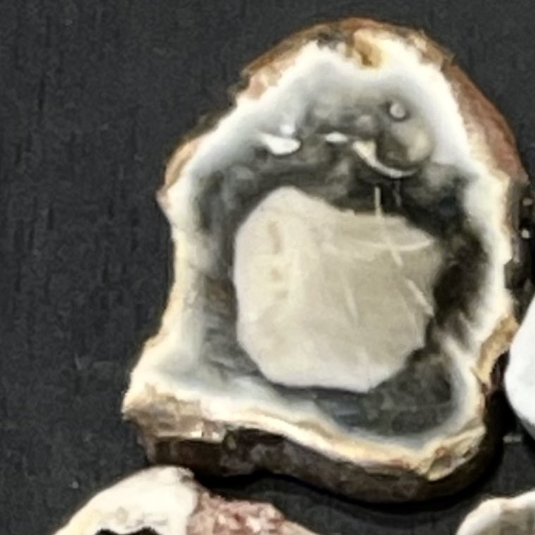 PioParakee@5/6〜12新宿ペンギンバザール🐧新作出ます★小田急百貨店新宿店7Ｆ tweet media