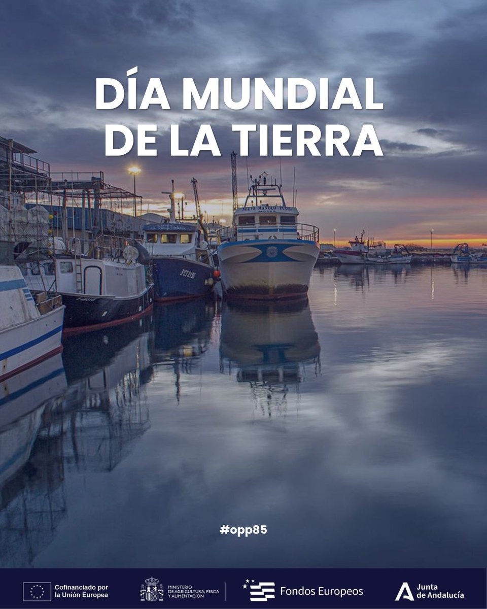OPP-85 MOTRIL tweet media