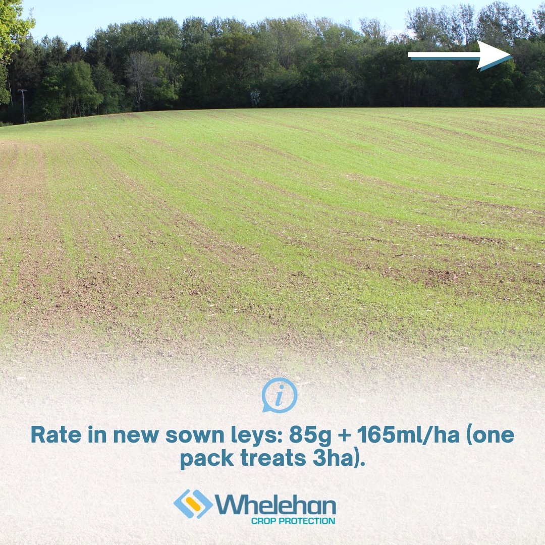 TPWCrop's tweet photo. Get the most out of your ProClova XL® applications this season. 🙌

📖 Check out our application guide below for some best practice tips..

For further detail, visit here: https://t.co/6D1XFDlpu9 

#ProClova #WeedControl https://t.co/lT7WXB8TXO
