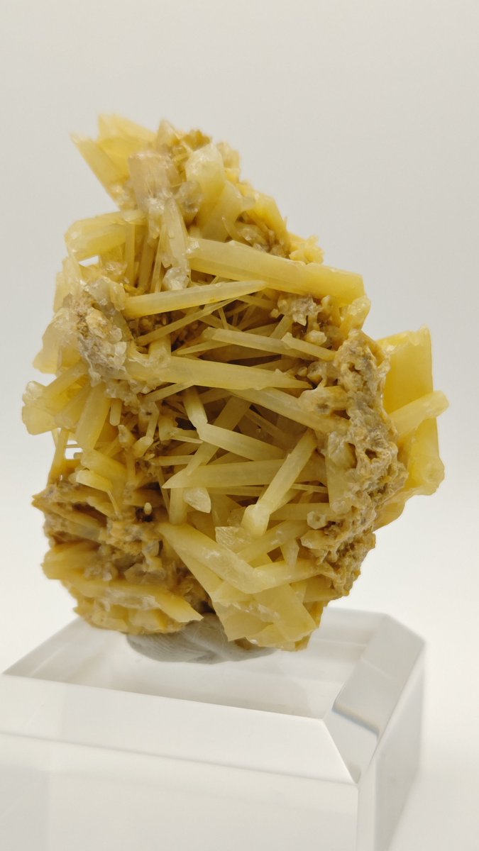 ひばち tweet media