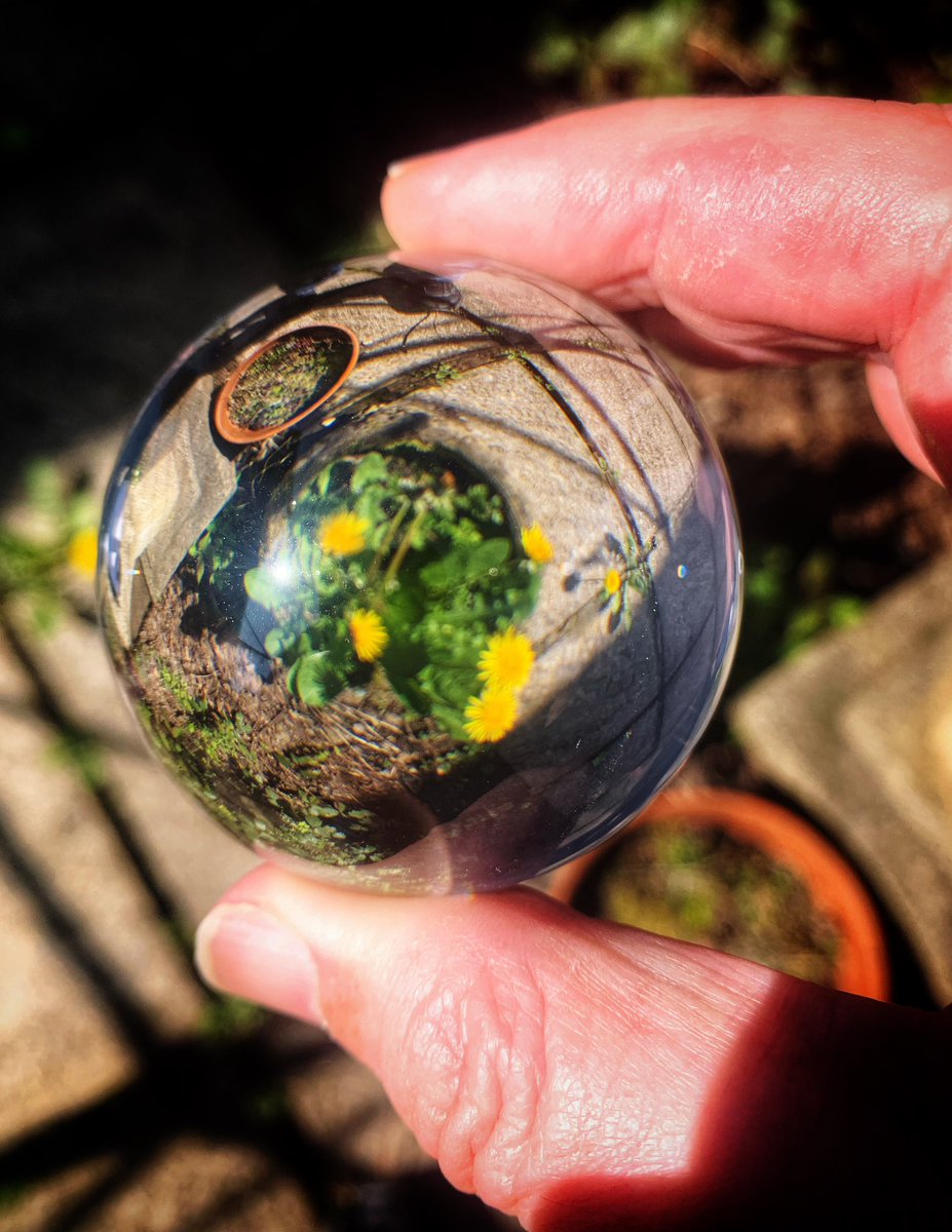 Delweddauimages's tweet image. Lens Ball #abstract #365Project 
#photography
#findyourepic
#Welshphotography
#iphone
Visit delweddauimages.co.uk