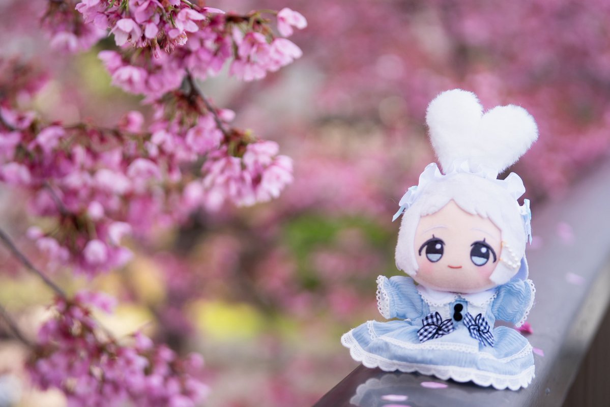 ゆとり猫P tweet media