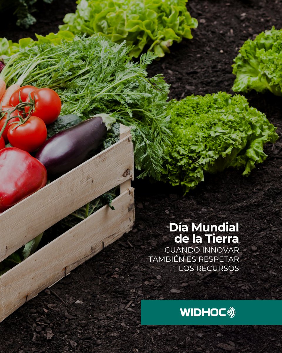 widhoc's tweet photo. En Widhoc creemos en una innovación al servicio de una agricultura más sostenible, donde los datos se convierten en una herramienta útil para respetar el entorno y gestionar cada recurso con mayor responsabilidad. 🌍🌱

#DíaDeLaTierra #Sostenibilidad https://t.co/B9M39JyWrI